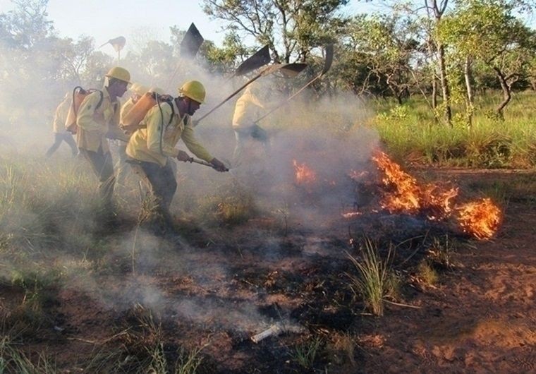 Bombeiros atenderam 176 chamadas por fogo em vegetação em um único dia no Piauí