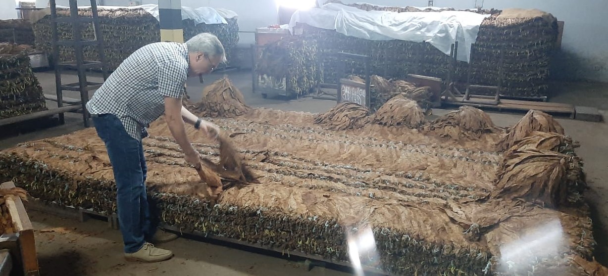 Charuto feito com tabaco sustentável produzido no AC é apresentado em festival na BA