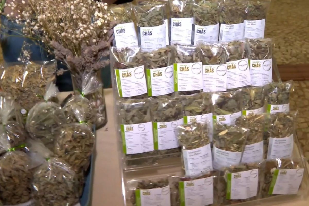 Muito além do chá: o que a ciência já descobriu sobre as plantas medicinais