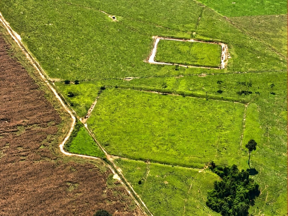 Área pesquisada tem cerca de 185 mil quilômetros quadrados e pode abrigar até 30 mil geoglifos — Foto: Arquivo/Altino Machado
