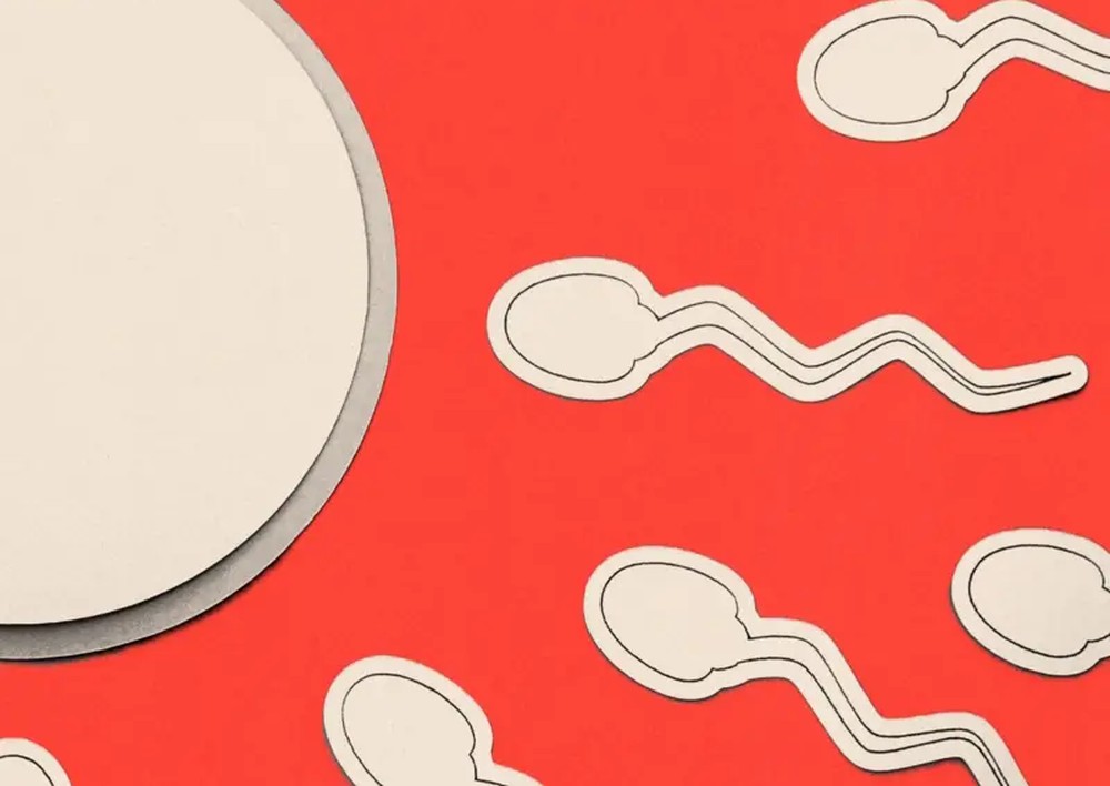 Negligência no diagnóstico da infertilidade masculina atrasa tratamentos de casais no Reino Unido