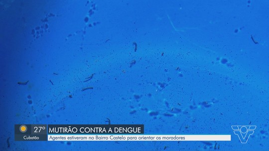 Prefeitura de Santos realiza mutirão contra dengue na Zona Noroeste - Programa: Jornal Tribuna 2ª Edição 