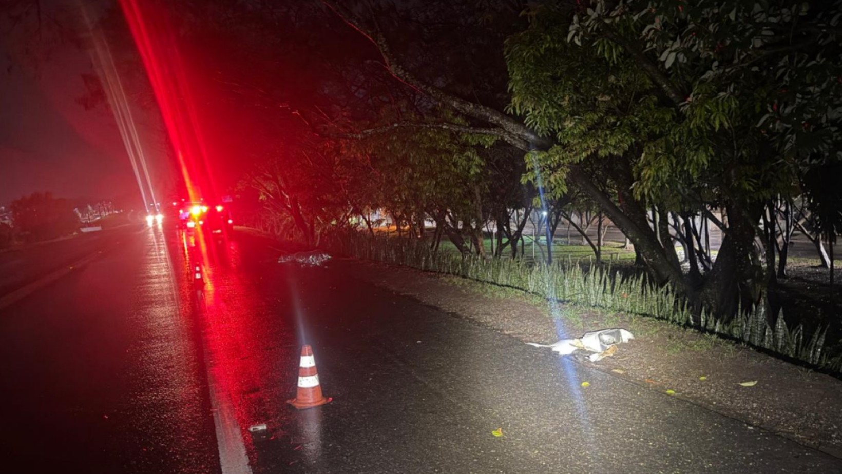 Homem morre após ser atropelado por ônibus na BR-459, em Lorena