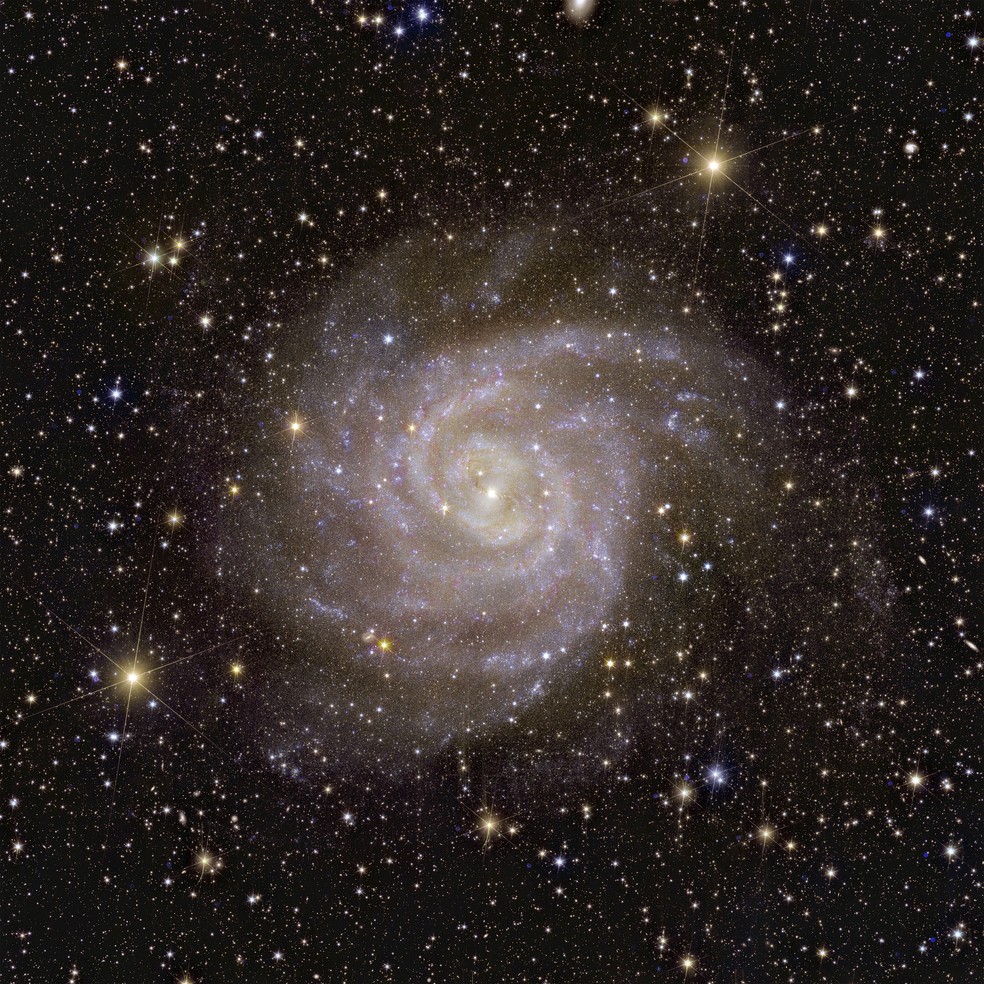 Galáxia espiral IC 342 ou Caldwell 5 vista pelo telescópio espacial Euclides, da Agência Espacial Europeia. — Foto: European Space Agency (ESA)