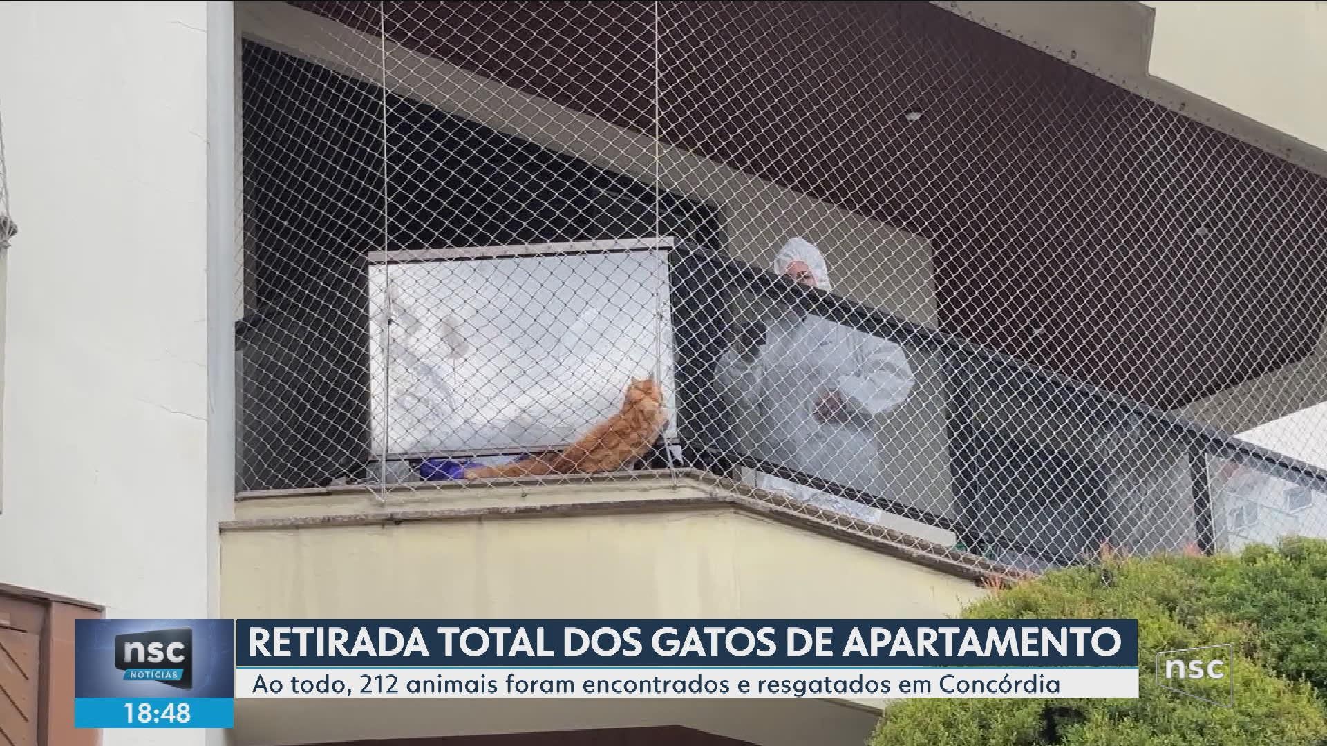 VÍDEOS: NSC Notícias de quinta-feira, 18 de junho de 2026