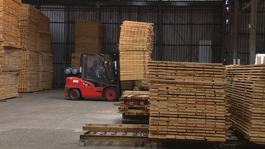 Tarifaço causou cerca de 4 mil demissões no setor de madeira, diz associação - Indústria de madeira processada mecanicamente afirma que exportações para os EUA caíram entre 35% e 50% para os principais produtos do setor.
