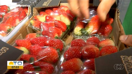 Mesmo após queda da 'febre' do Morango do Amor, vendas da fruta seguem em alta