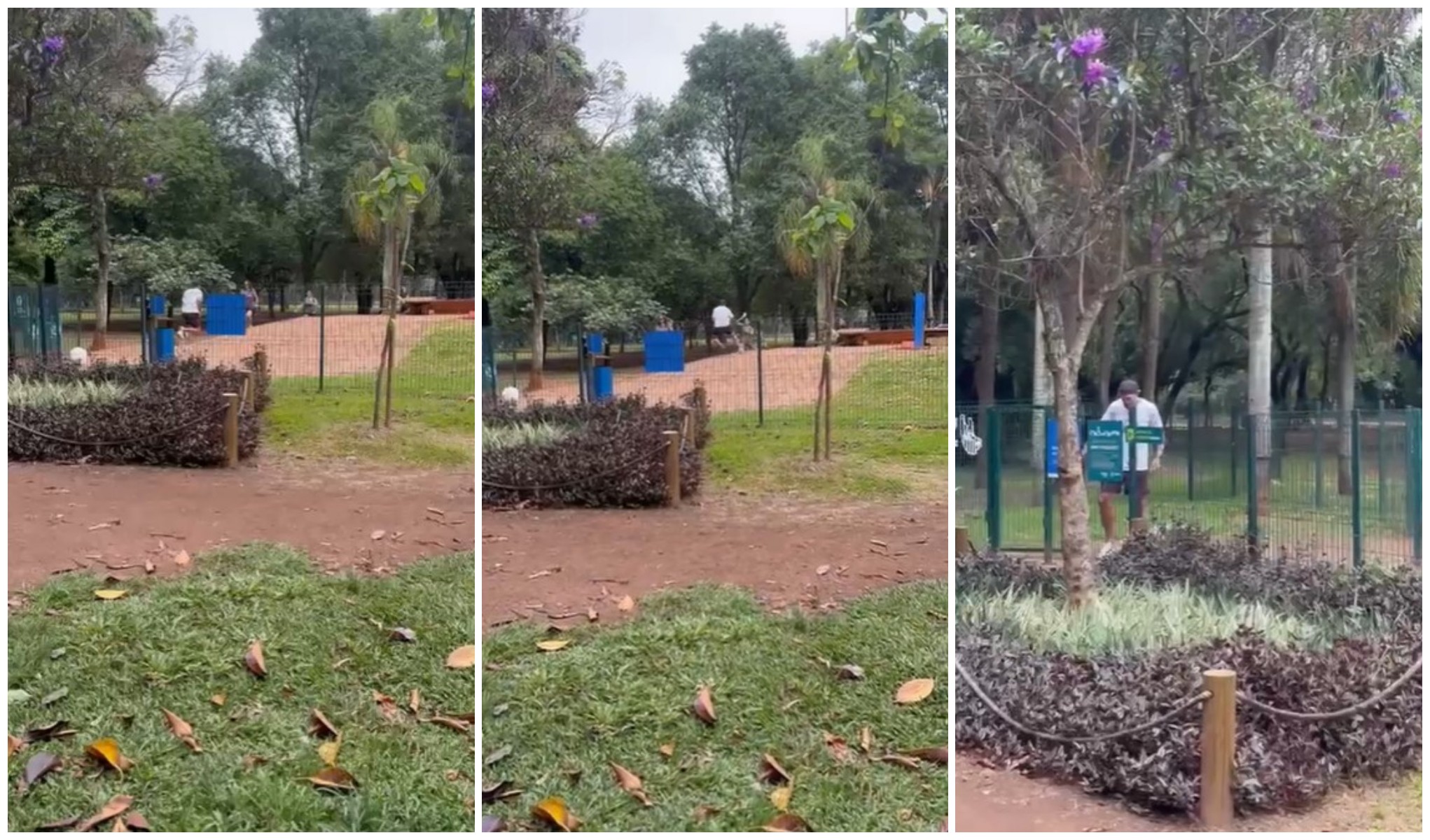 Casal é agredido após briga por cão grande em área para animais pequenos