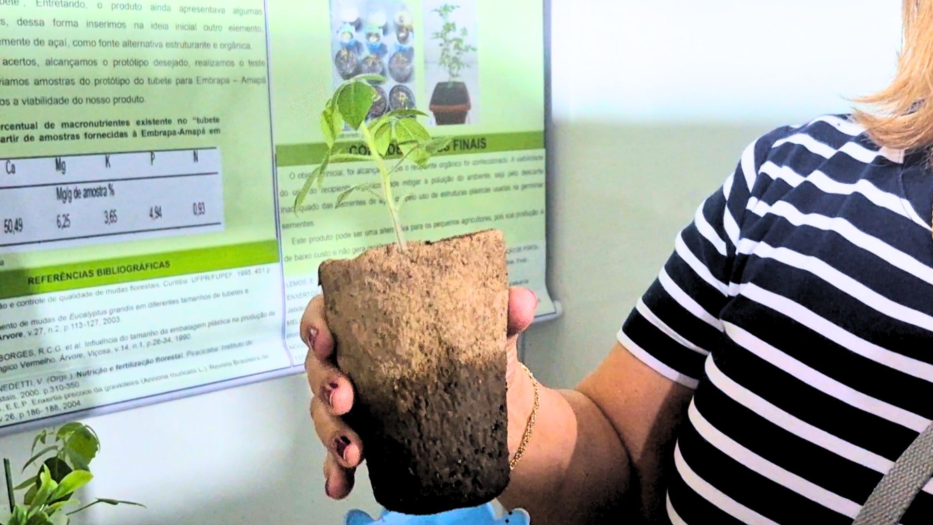 Com caroço de açaí e argila, estudantes desenvolvem tubete orgânico em escola pública do AP