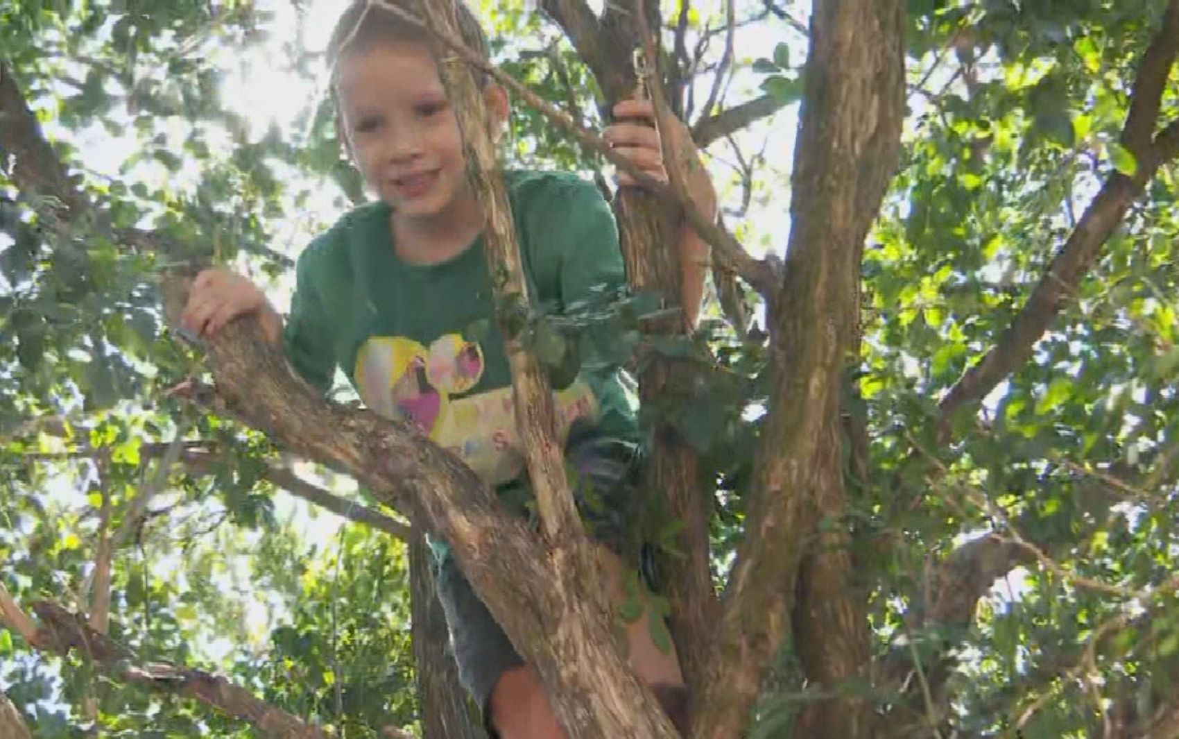 Mãe se desespera após filho sumir, mobiliza buscas e o encontra dormindo em cima de árvore: ‘Não tinha nem forças’