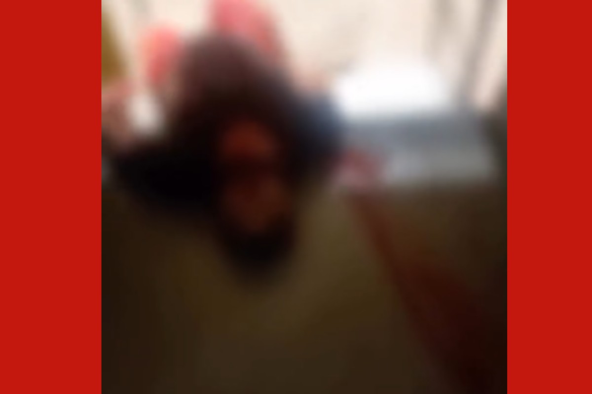 Caminhoneiro é morto a tiros após discussão em fila de carregamento em MT