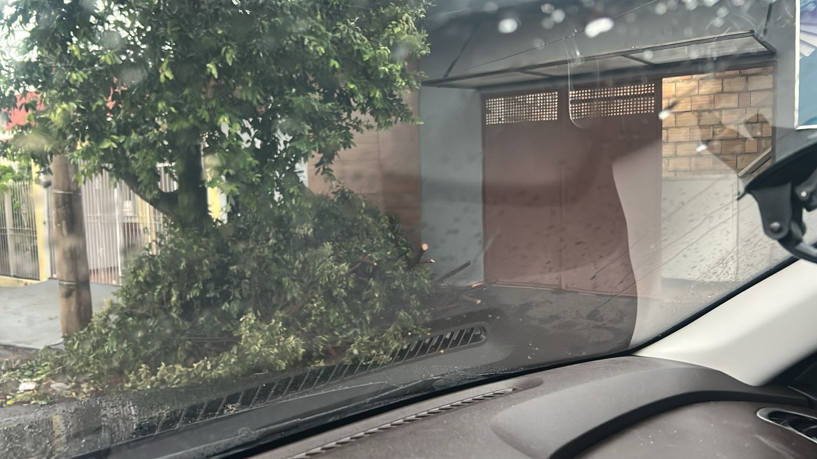 VÍDEO: Uberaba tem quedas de árvores, alagamentos e falta de energia durante temporal