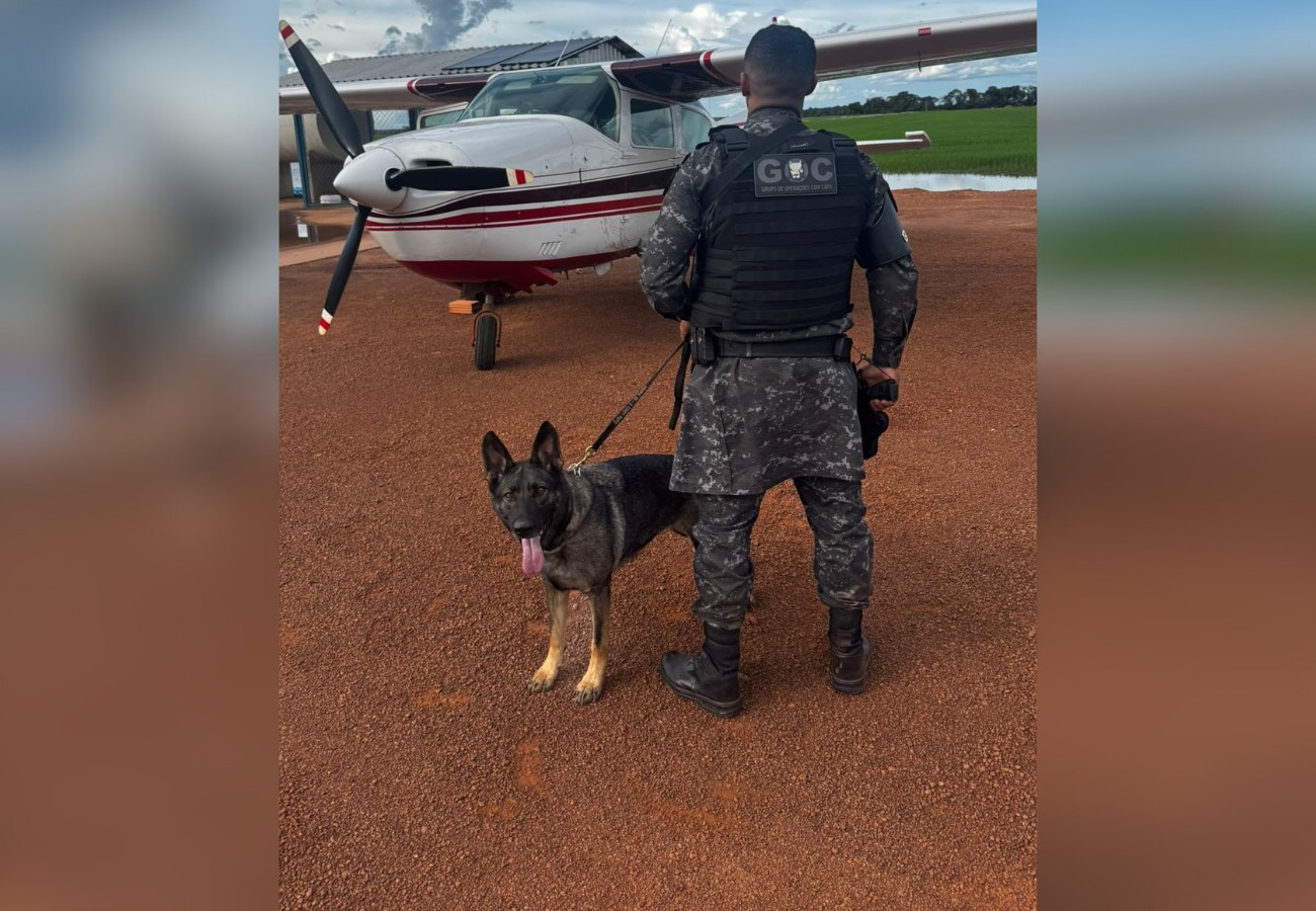 Piloto é preso e avião apreendido no Tocantins após polícia encontrar drogas e folhas de coca