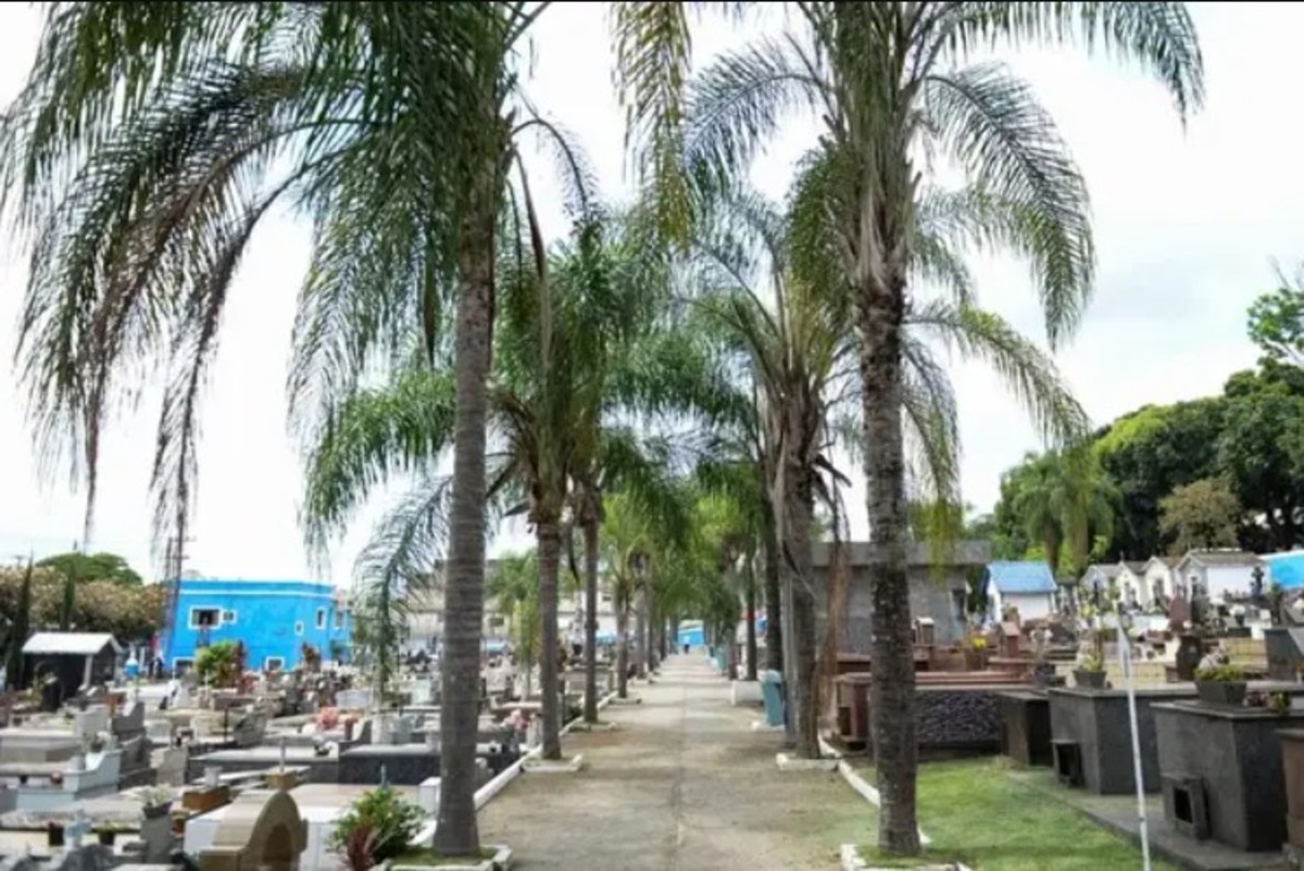 Dia de Finados: veja os horários de funcionamento de cemitérios do Sul do Rio e Costa Verde