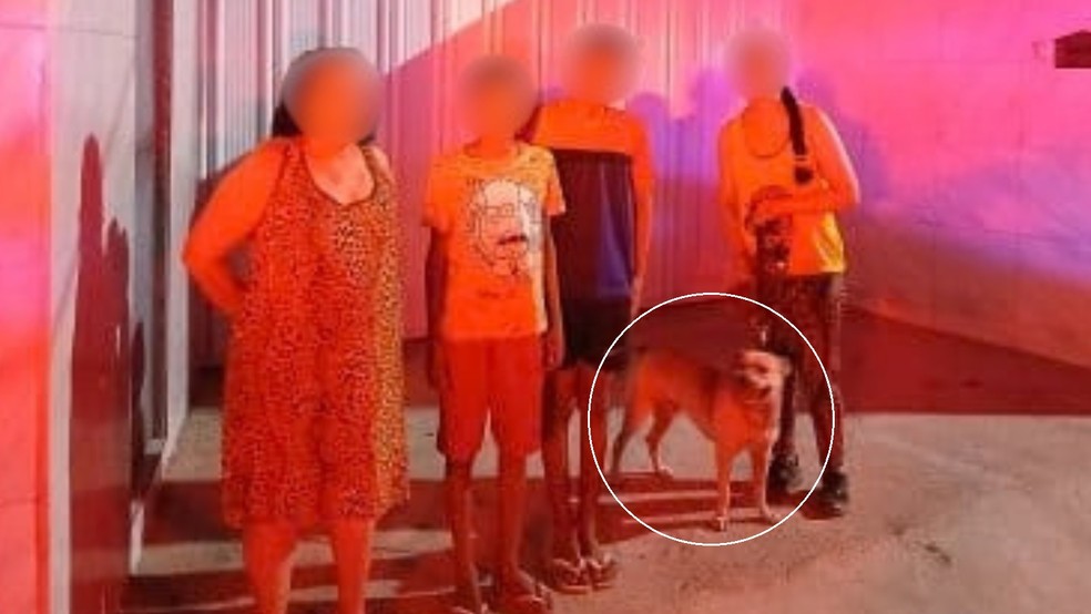 Latidos de cão de estimação ajudam bombeiros a localizar irmãos com autismo perdidos em mata na Serra da Taquara, em Caucaia. — Foto: Corpo de Bombeiros/ Divulgação