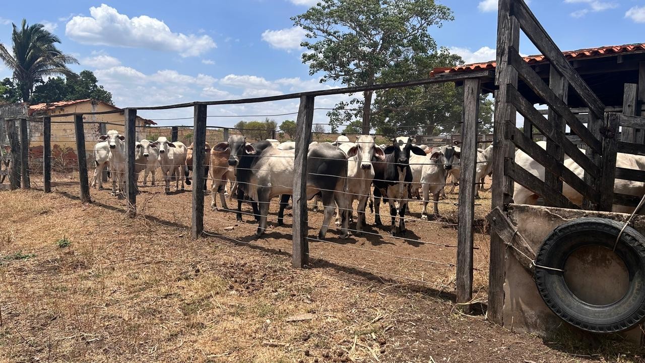 Você Não Tá Convidada pro Meu Bat Mitzvá!