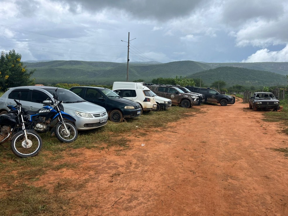 Oito veículos foram apreendidos durante a operação — Foto: Polícia Militar