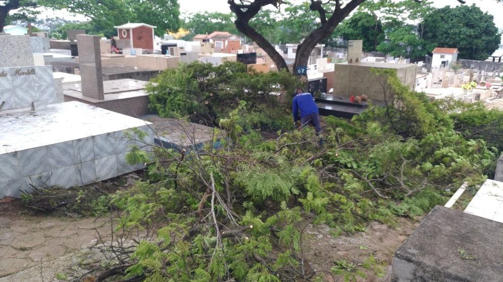 Equipes trabalham para consertar estragos causados por temporal em Presidente Prudente (SP) — Foto: Cedida/Secom