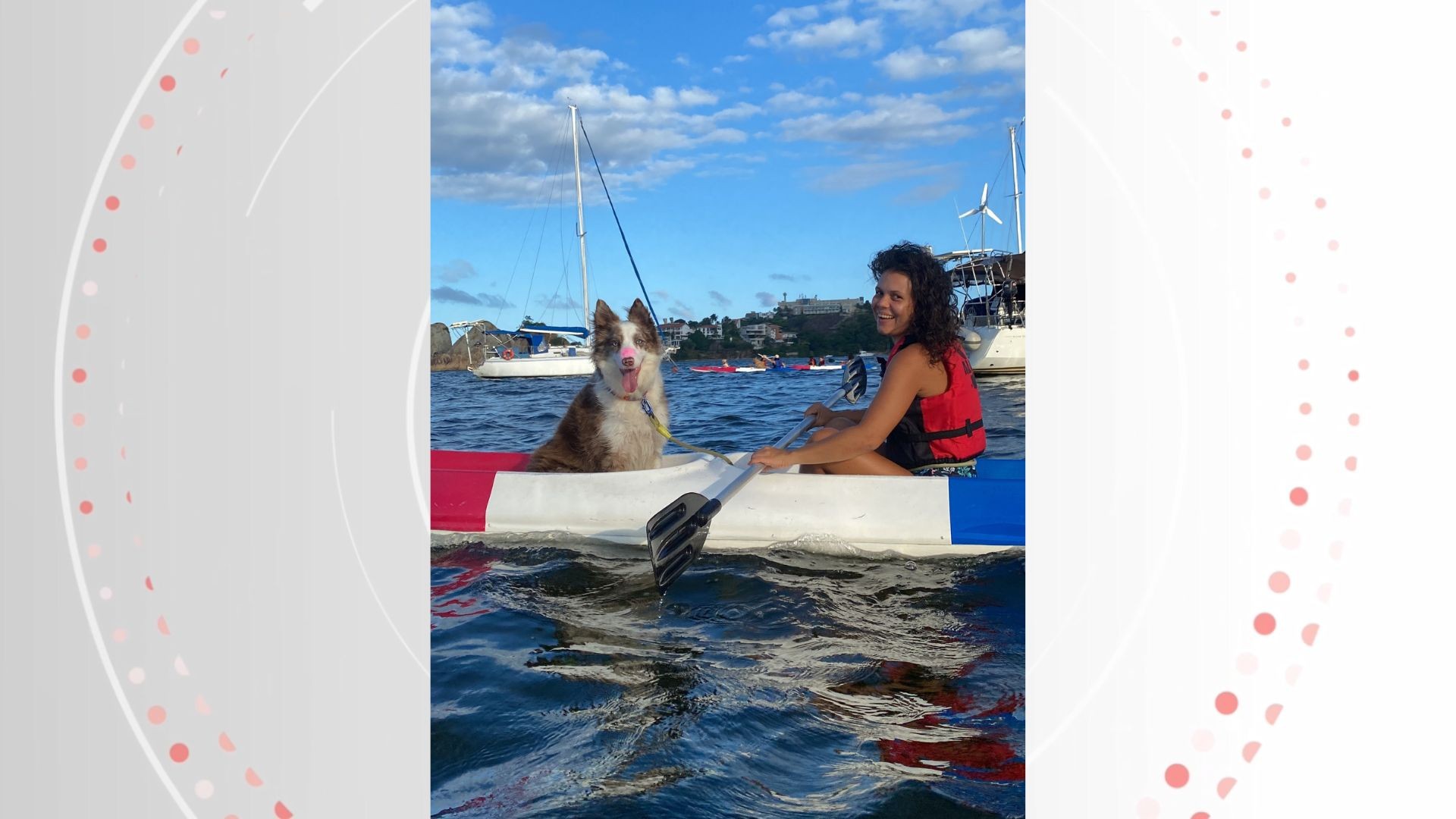 VÍDEO: Cães se aventuram com tutores em passeios de caiaque em praia de Vitória