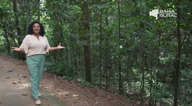 Inmet emite alerta de chuvas intensas para mais de 90 cidades da Bahia; veja lista