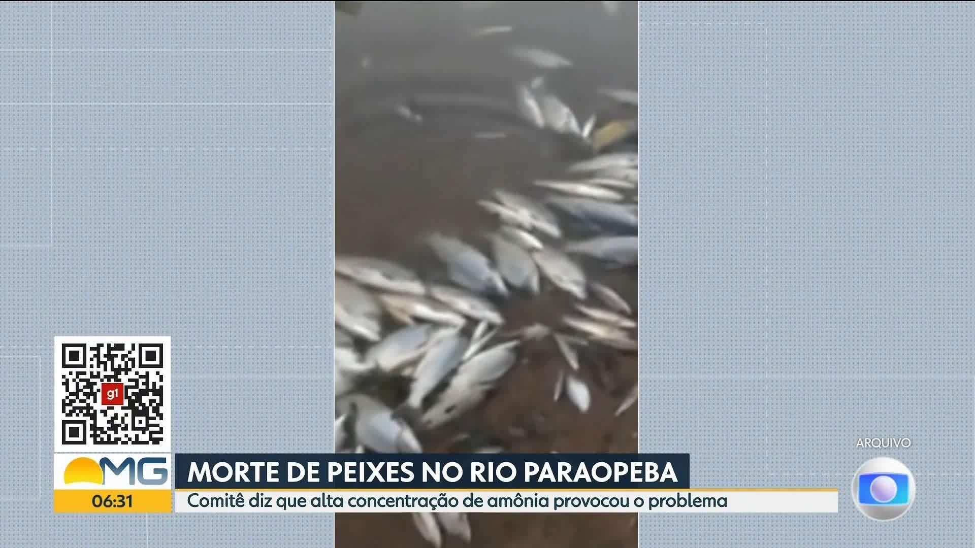 VÍDEOS: Bom Dia Minas de quarta-feira, 16 de outubro de 2025