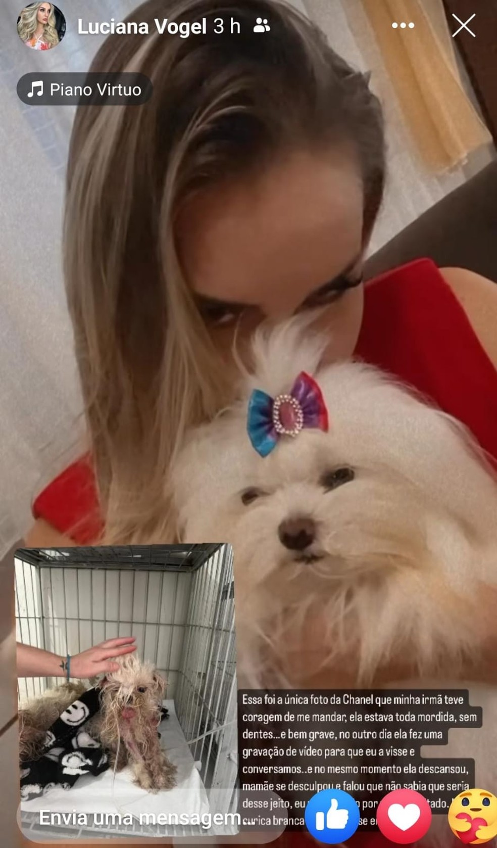 Luciana compartilha uma das fotos de sua pet após o ocorrido — Foto: Arquivo pessoal