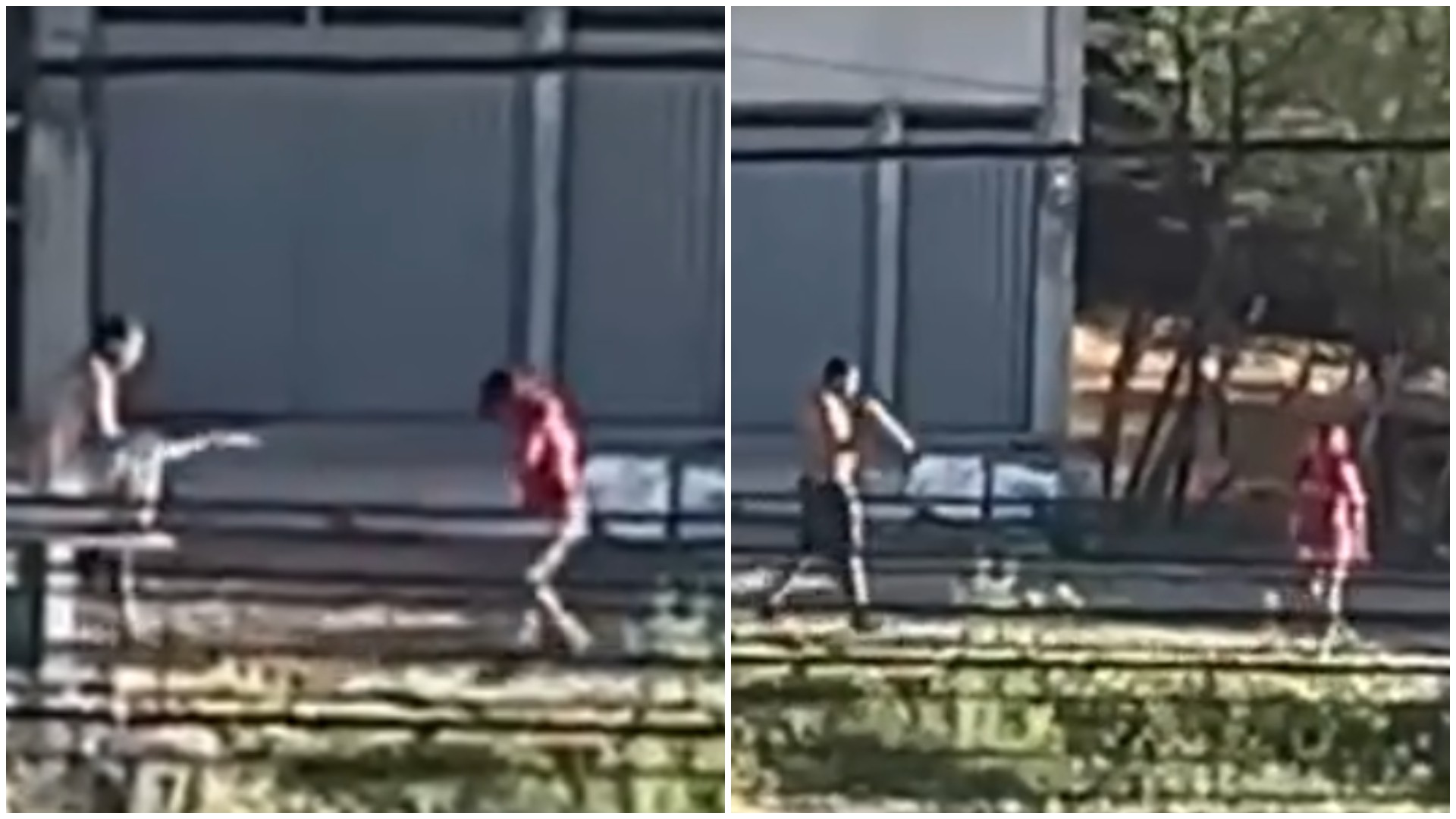 Vídeo: Homem é preso após atacar prima com golpes de foice no interior do Ceará