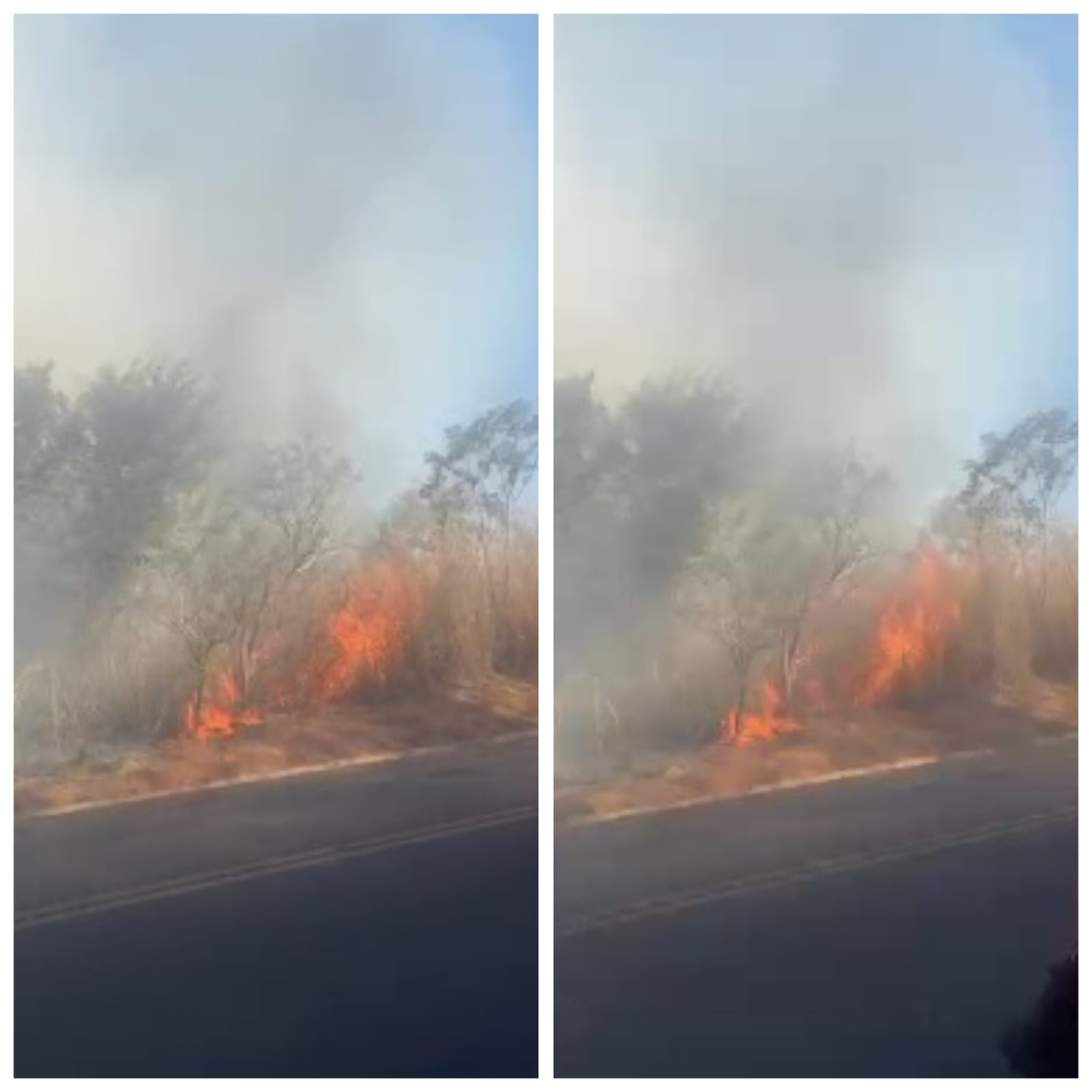 Incêndio atinge área de vegetação às margens da BR-365 e mobiliza bombeiros e brigadistas
