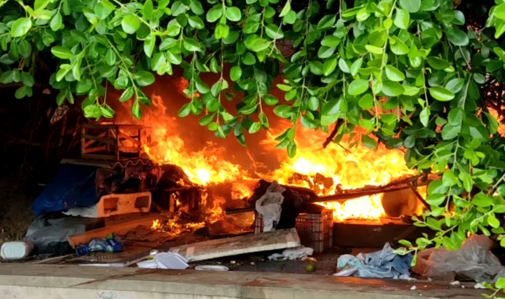 Incêndio atinge 'colônia' de gatos no bairro de Piatã, em Salvador — Foto: Reprodução/Redes Sociais