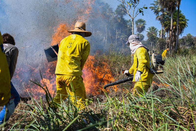 Brigadas comunitárias têm papel fundamental no combate ao fogo, afirma WWF-Brasil