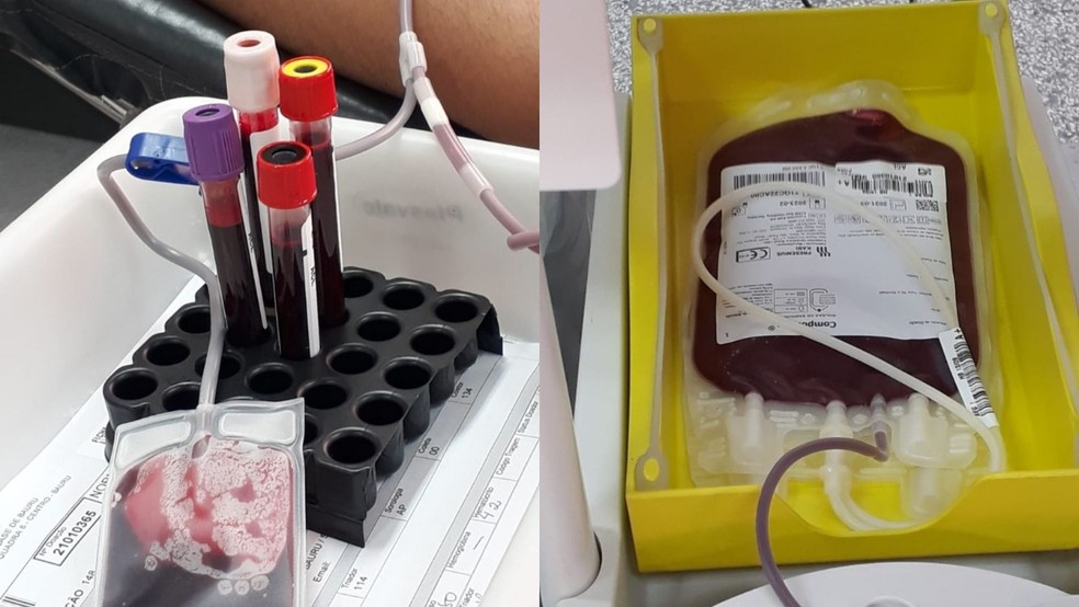 Estoque de sangue do Hemocentro em Marília e de outras cidades do centro-oeste paulista está em nível crítico — Foto: Assessoria de Imprensa da Famesp/Divulgação 