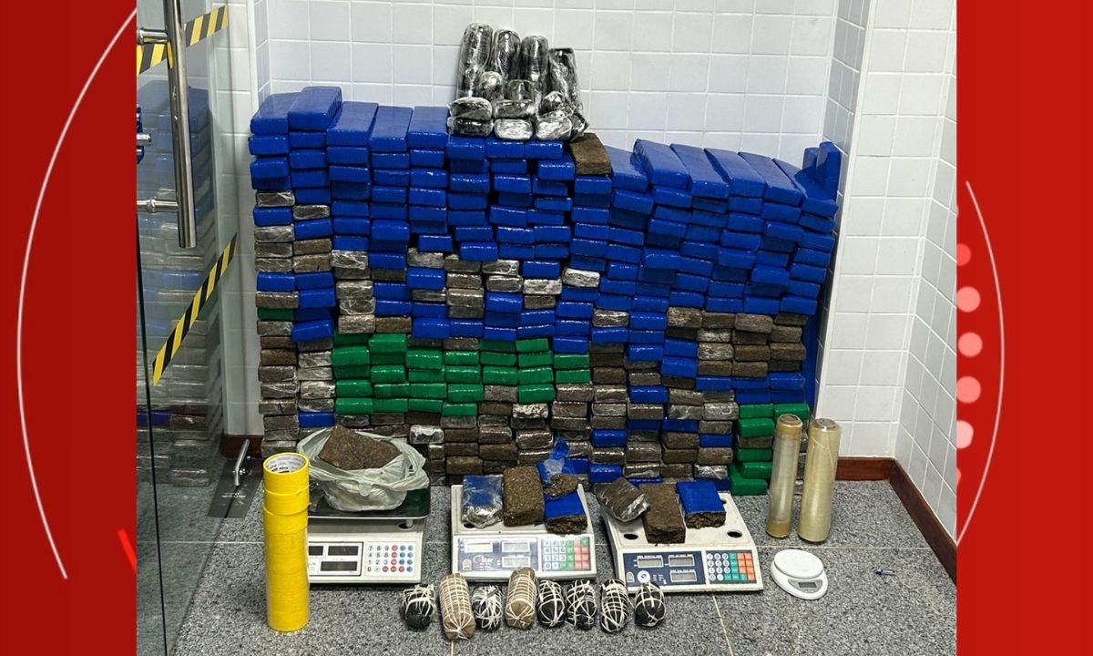 Mulher é detida com mais de 300 tabletes de maconha e explosivos em casa no centro de Feira de Santana