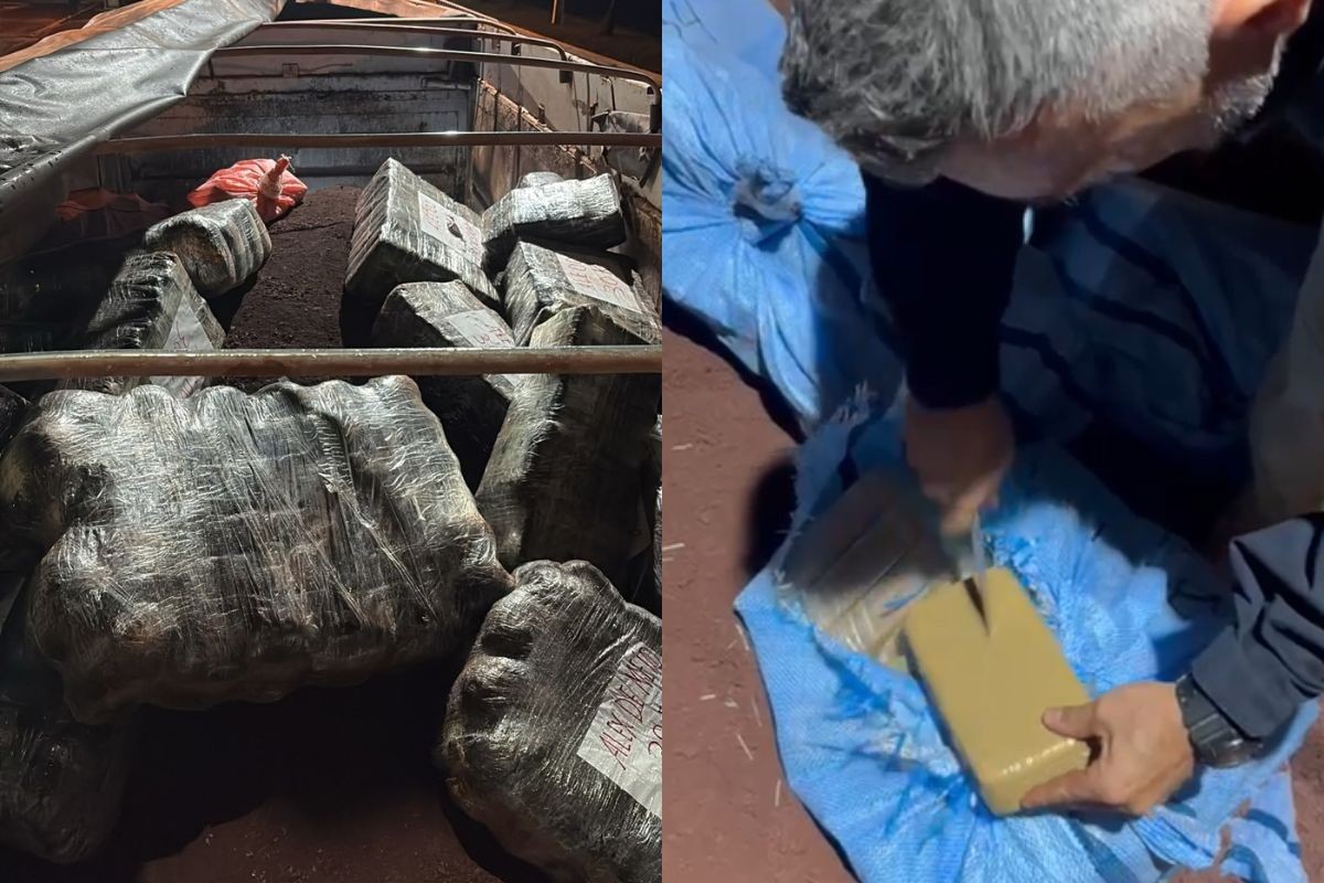 Mãos trêmulas e voz travada entregam caminhoneiro com quase 1 tonelada de cocaína e skunk em MS