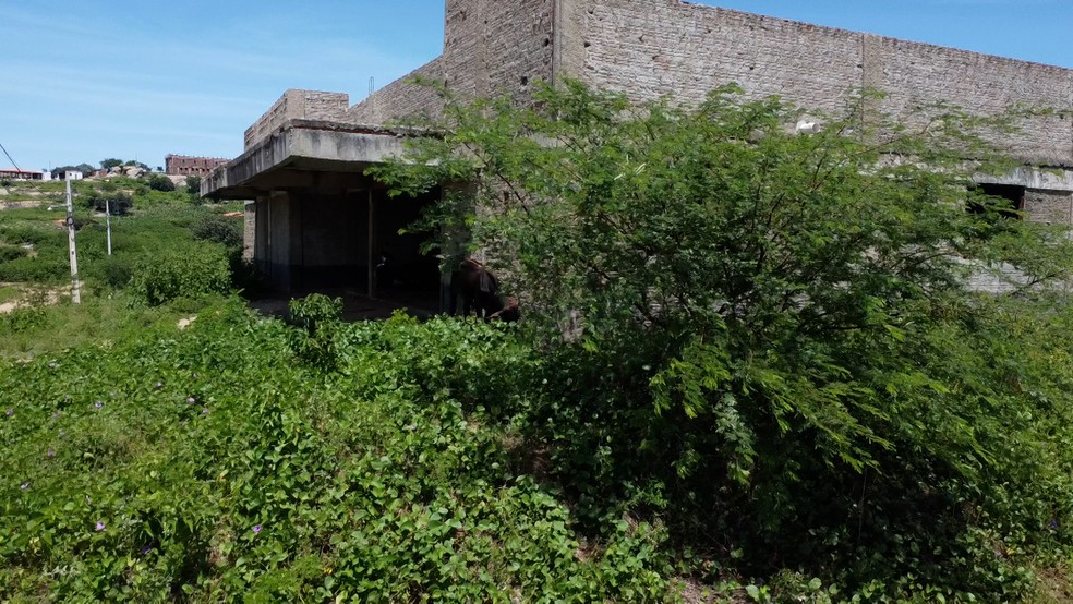 Posto de sa�de em Mariz�polis s� tem mato e paredes arriscando cair � Foto: TV Cabo Branco/Reprodu��o