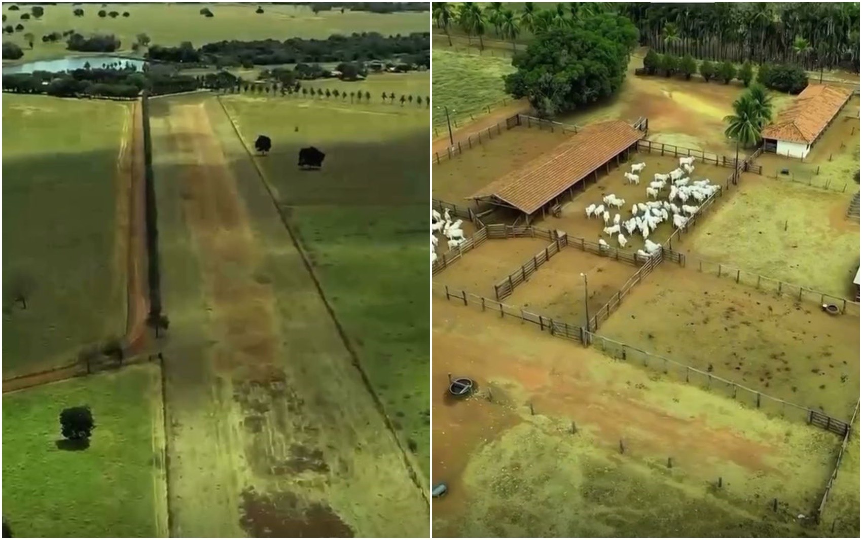 Mais de R$ 100 milhões: fazenda reúne de cinema a pista de pouso
