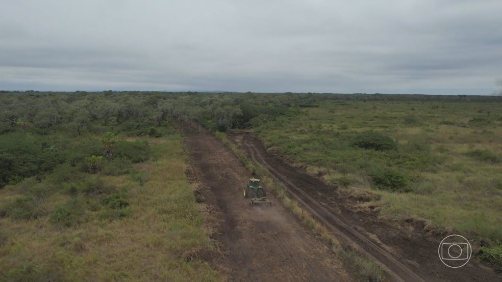 Entenda tcnica de combate aos focos de incndio no Pantanal em que bombeiros usam o fogo — Foto: Reproduo/TV Globo