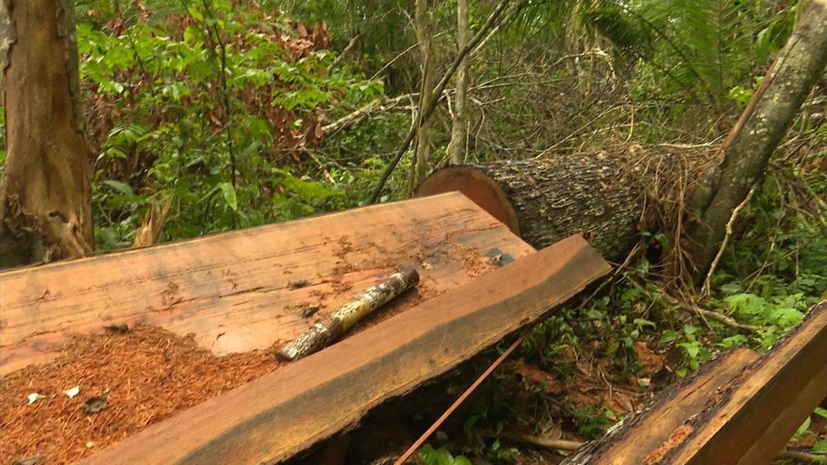 Internautas 'agradecem chuva' e cobram Mendes asfalto entre Colniza a  Castanheira