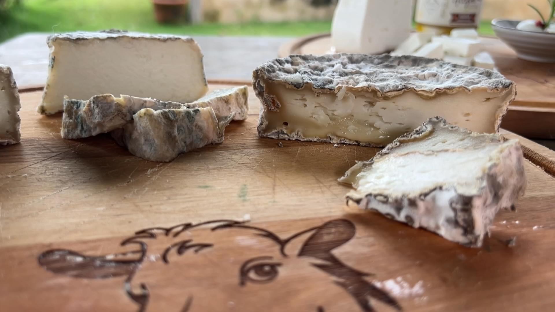 Queijeiros produzem queijos especiais com leite de ovelhas e cabras