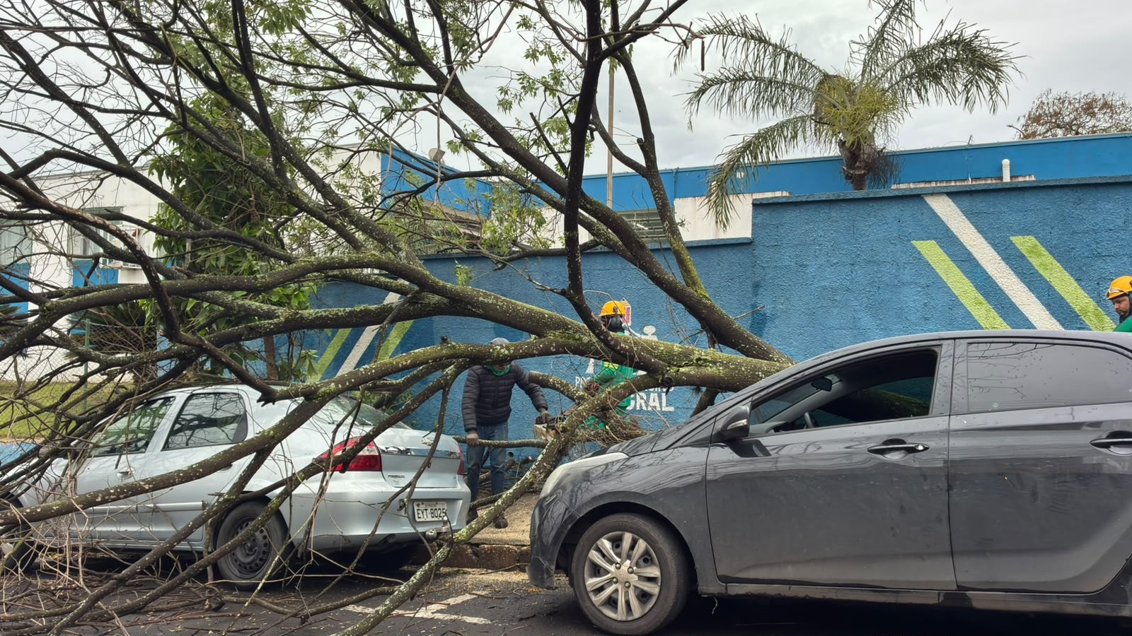 'Vou me benzer amanhã', diz eleitora que não conseguiu votar após árvore cair sobre carro em Piracicaba
