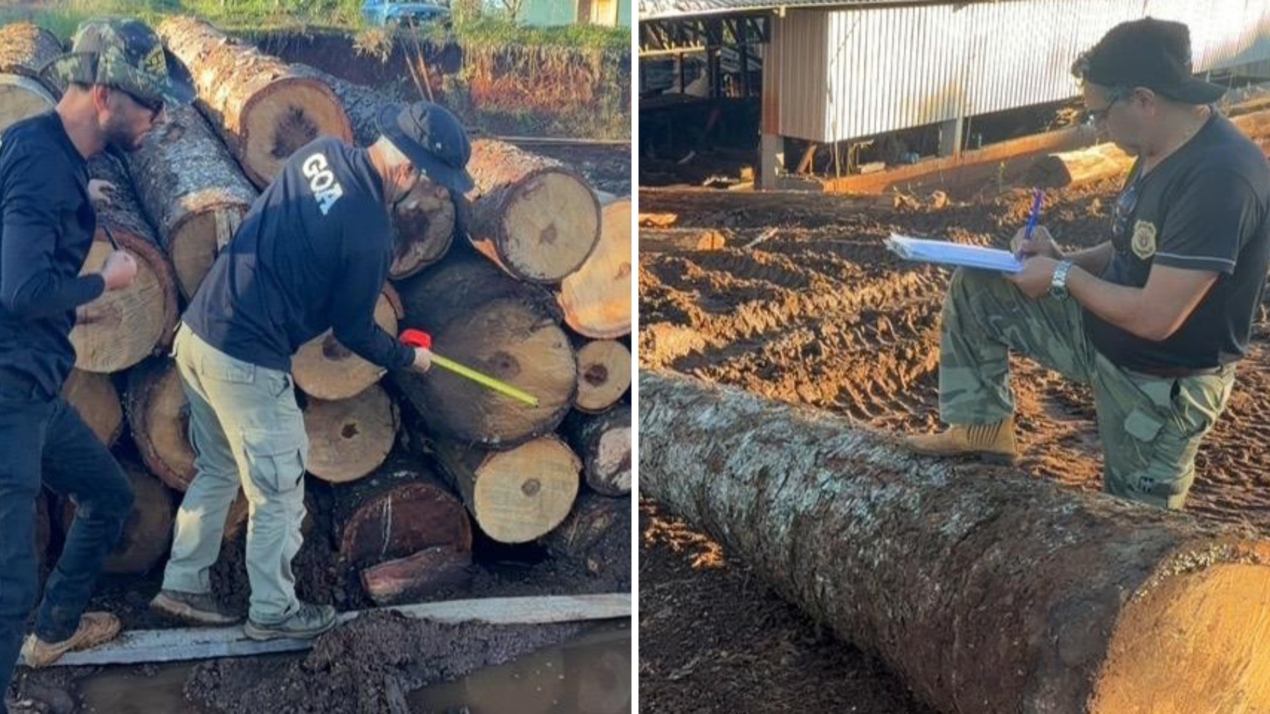 Flagras de crimes ambientais rendem R$ 3,8 milhões de multas em uma semana na região da cidade destruída por tornado no Paraná