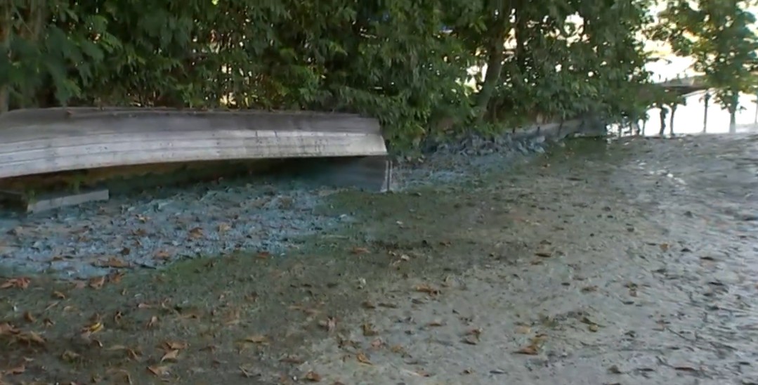 Você Não Tá Convidada pro Meu Bat Mitzvá!