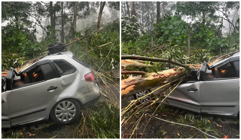 Carro onde estavam cinco amigos de trabalho foi atingido por árvore na Zona Leste de SP; duas pessoas morreram 