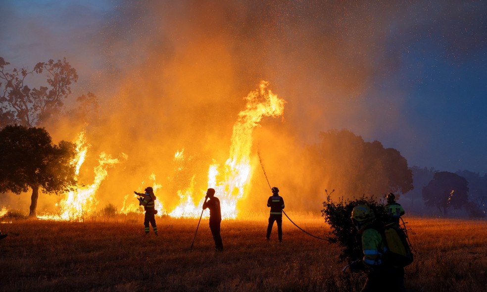Moradores e bombeiros trabalham para combater incêndio florestal em Formariz, na província de Zamora, na Espanha, em 29 de julho de 2026 — Foto: Umit Bektas/Reuters