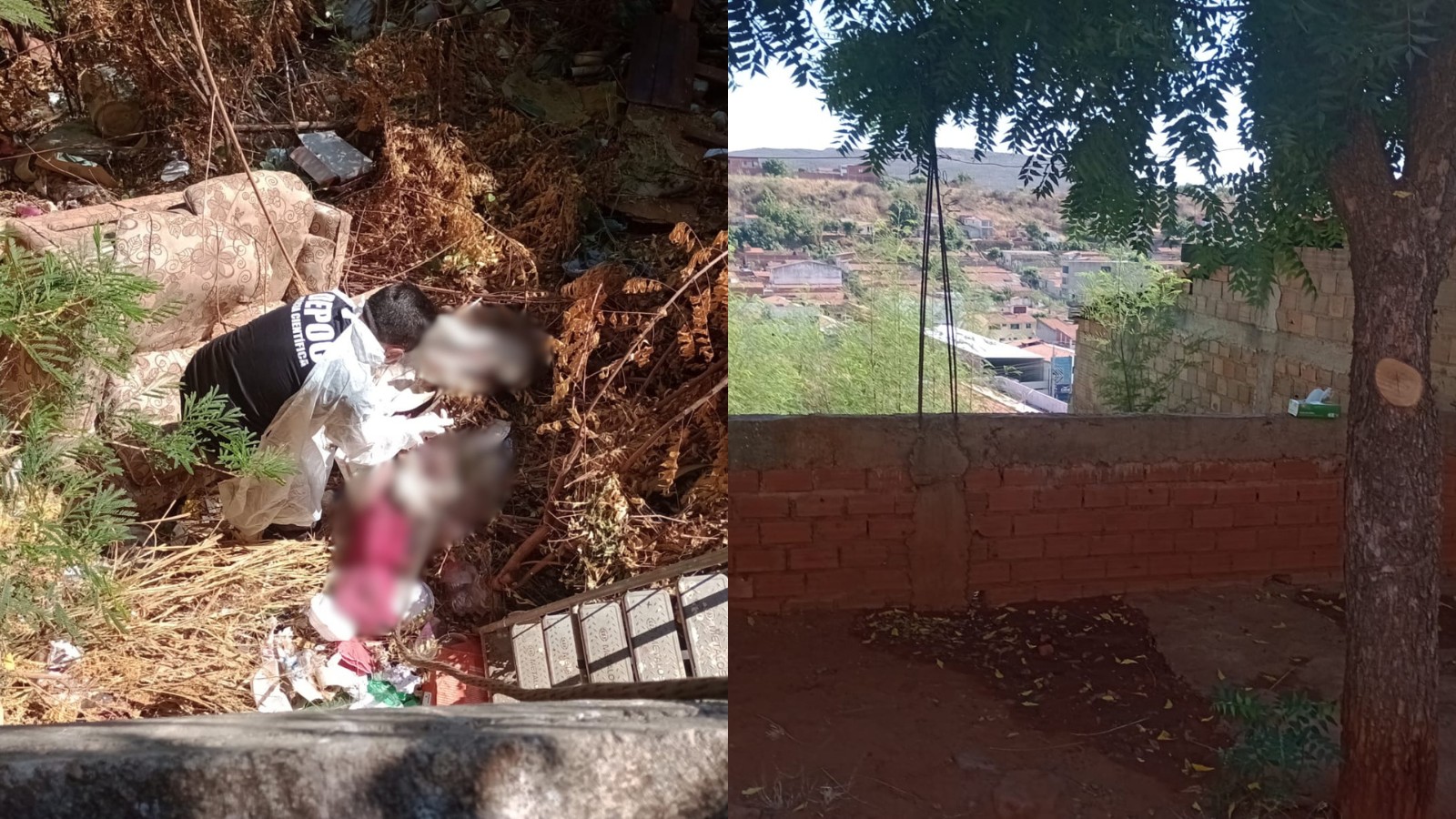 Corpo de mulher amarrado e envolto em lençóis é encontrado em área de mata no PI