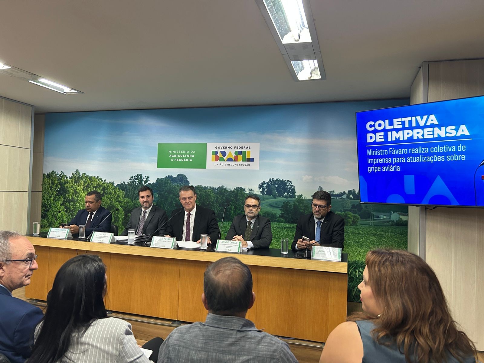 Gripe aviária: caso do DF não tem motivo para alarde, diz ministro da Agricultura e Pecuária