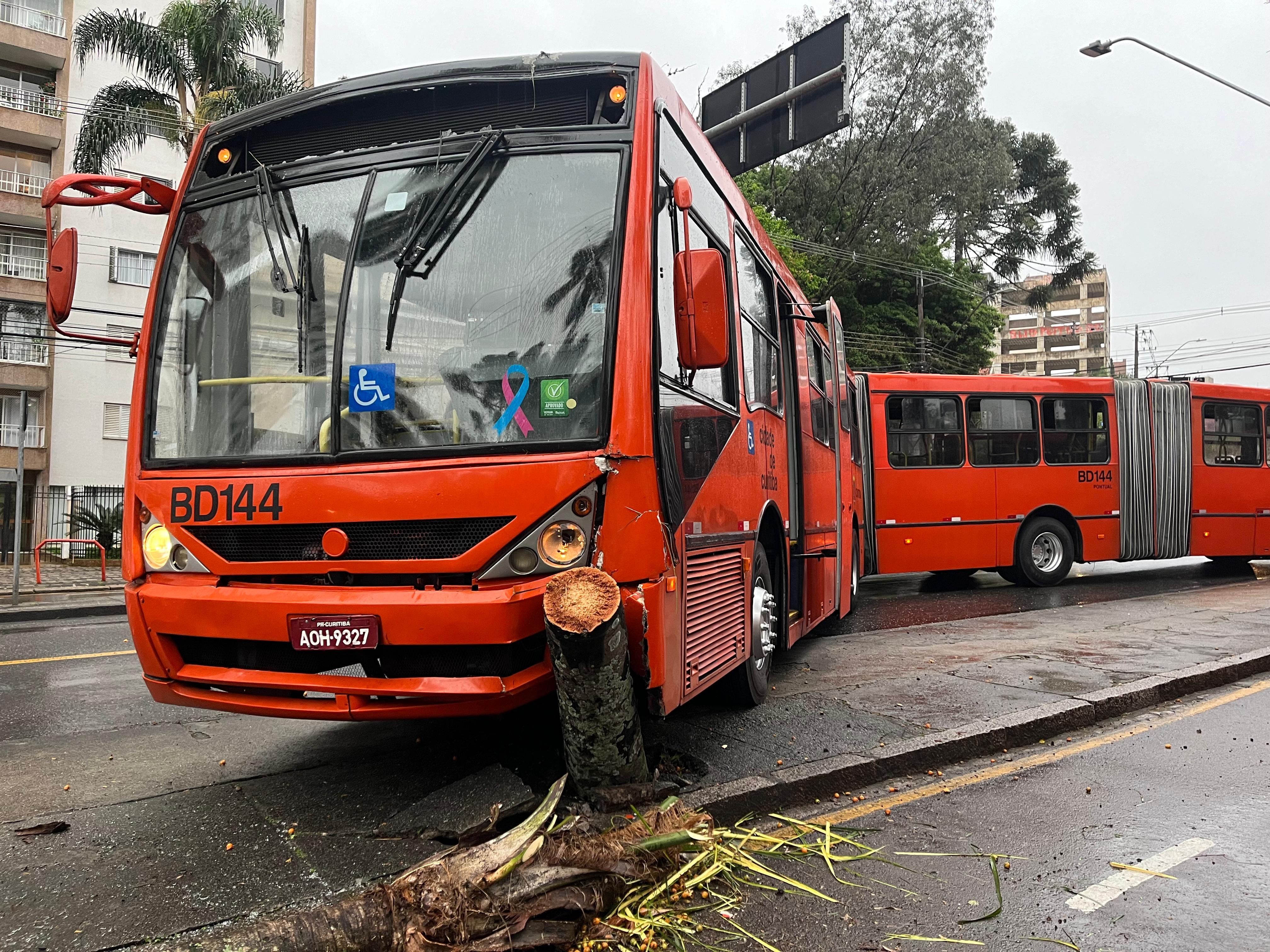 Biarticulado bate em árvore e deixa uma passageira ferida em Curitiba