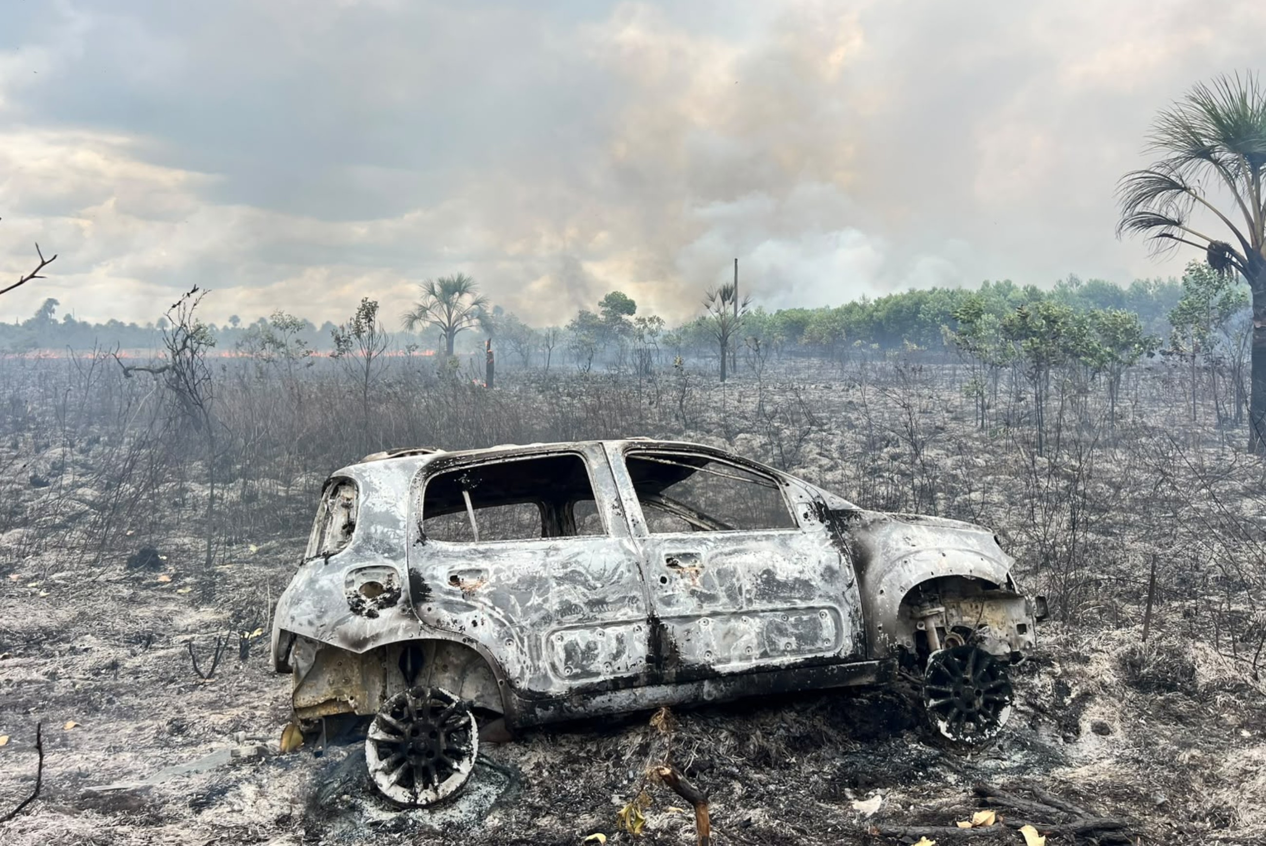 Carro pega fogo e chamas destroem 400 hectares de terra e criação de abelhas em Roraima