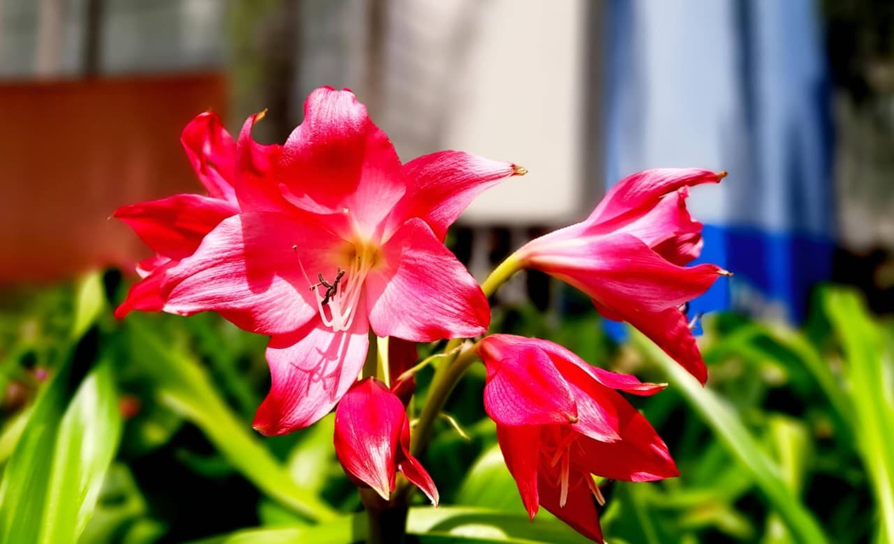 Evento pré-COP em SP tem debate sobre economia verde, workshops e shows; veja programação