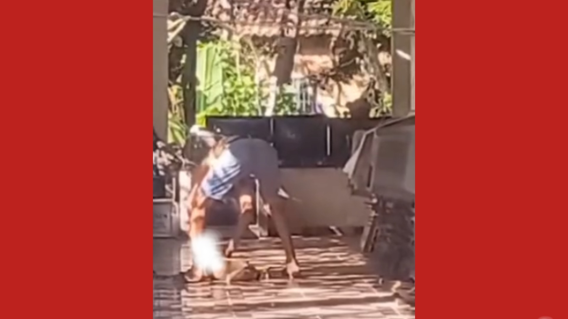 Homem é preso após enforcar cadela no Marajó