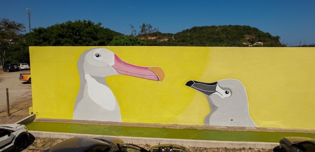 Arraiá do Albatroz abre temporada de visitação aos fins de semana com festa gratuita em Cabo Frio-RJ